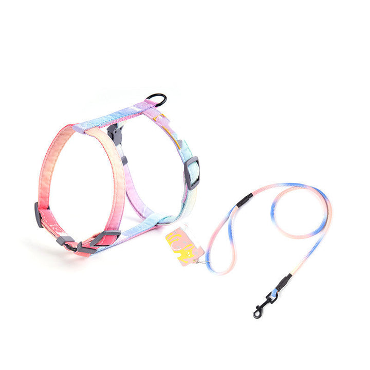 Keep Your Cat Safe and Stylish with the Fashion Cat Leash