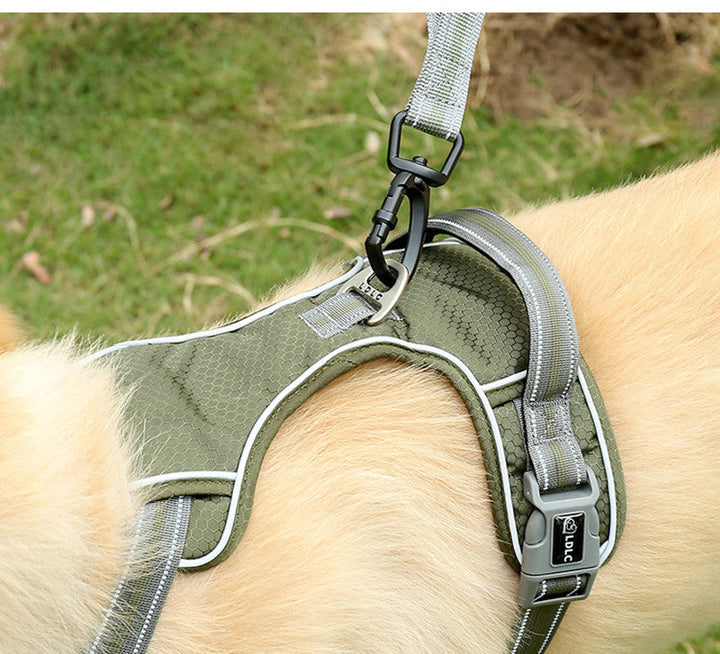 Unleash Freedom with the Punch Elastic Retractable Dog Leash