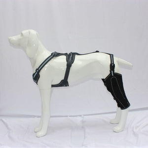 Protect Your Pet with Our Dog Thigh Protective Sleeve!