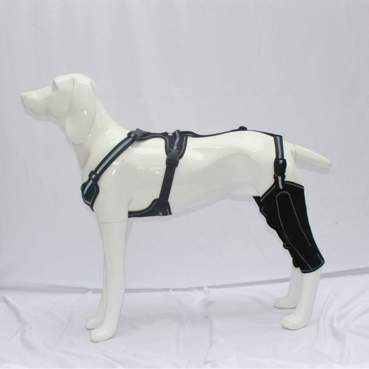 Protect Your Pet with Our Dog Thigh Protective Sleeve!