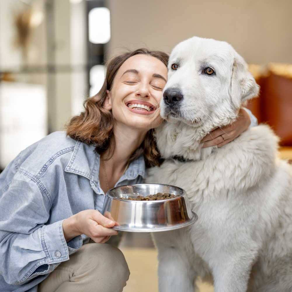 Why Your Pet Deserves Better Feeding Gear