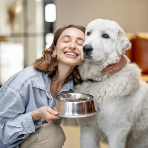 Why Your Pet Deserves Better Feeding Gear