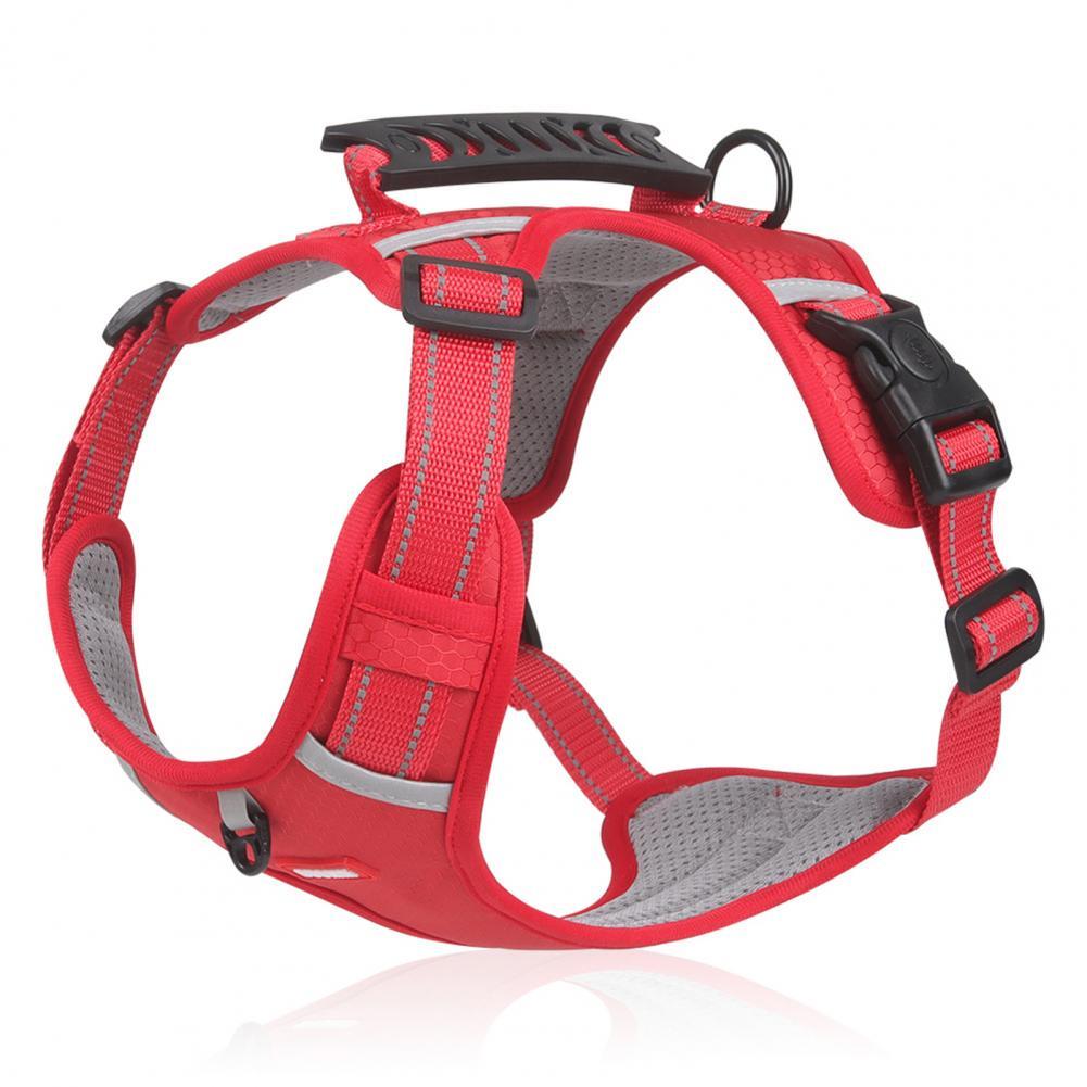 Nylon Harness Dogs Training Accessories