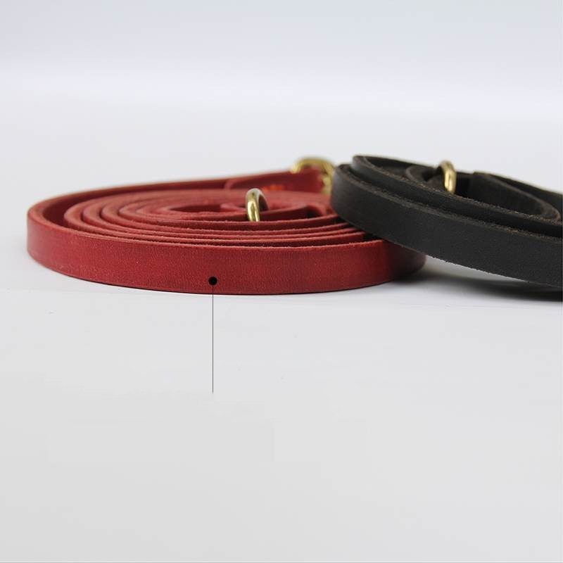 Cowhide Chain Teddy Gold Hair