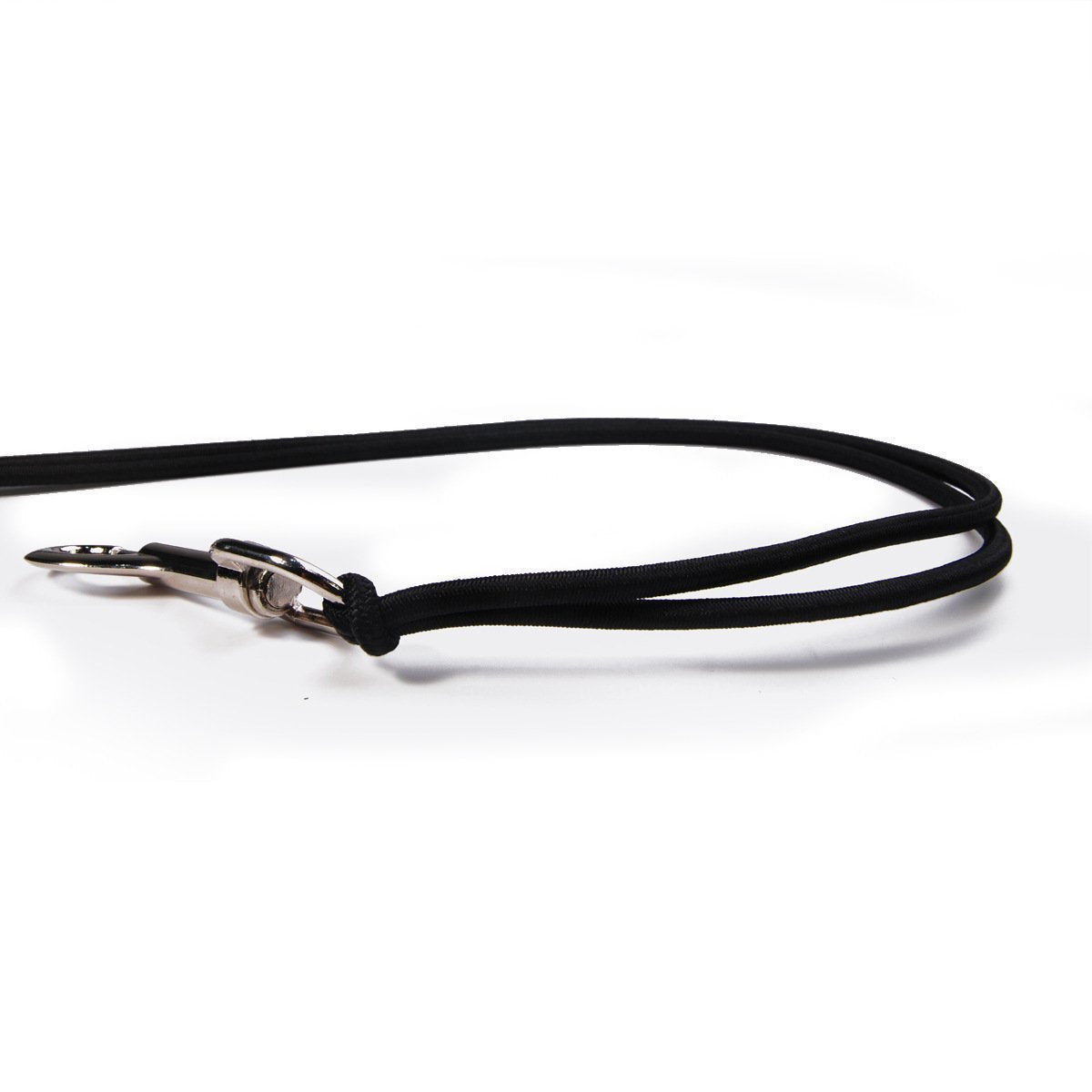 Bicycle Dog Walking Hand Holding Rope Pet