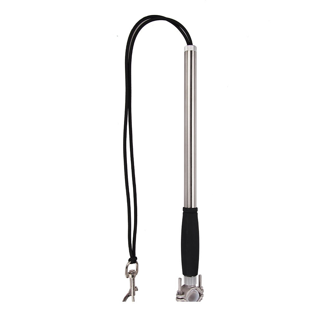 Bicycle Dog Walking Hand Holding Rope Pet