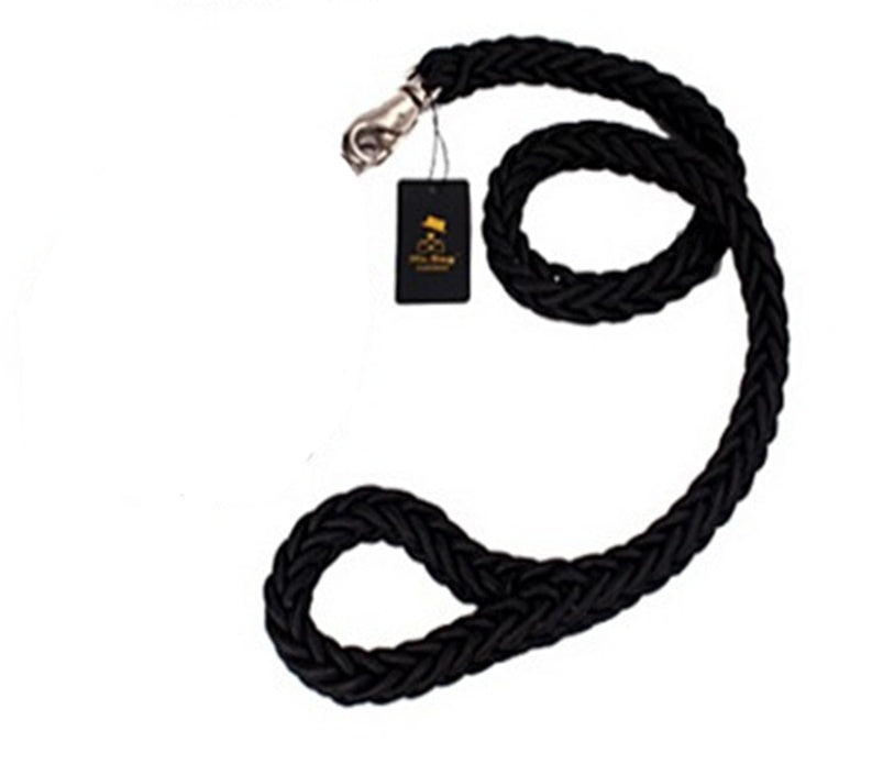 Eight-strand braided golden dog leash