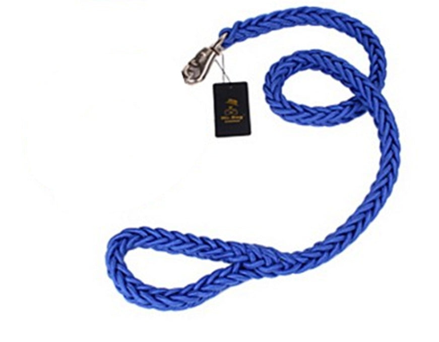 Eight-strand braided golden dog leash