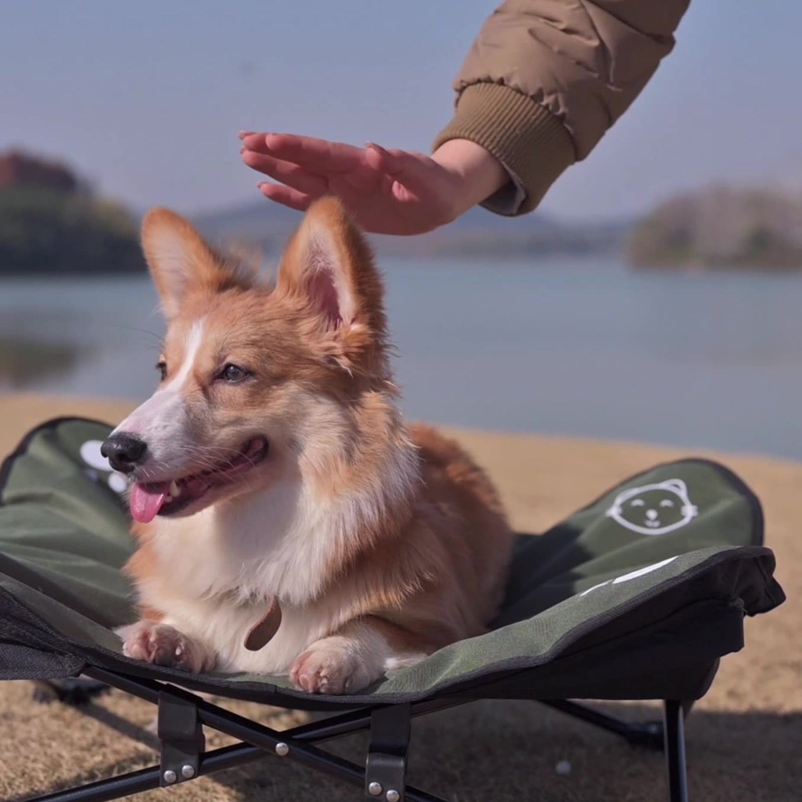 Outdoor washable pet folding bed