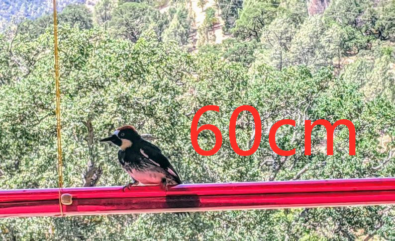 Long Tube Red Bird Feeder Hanging