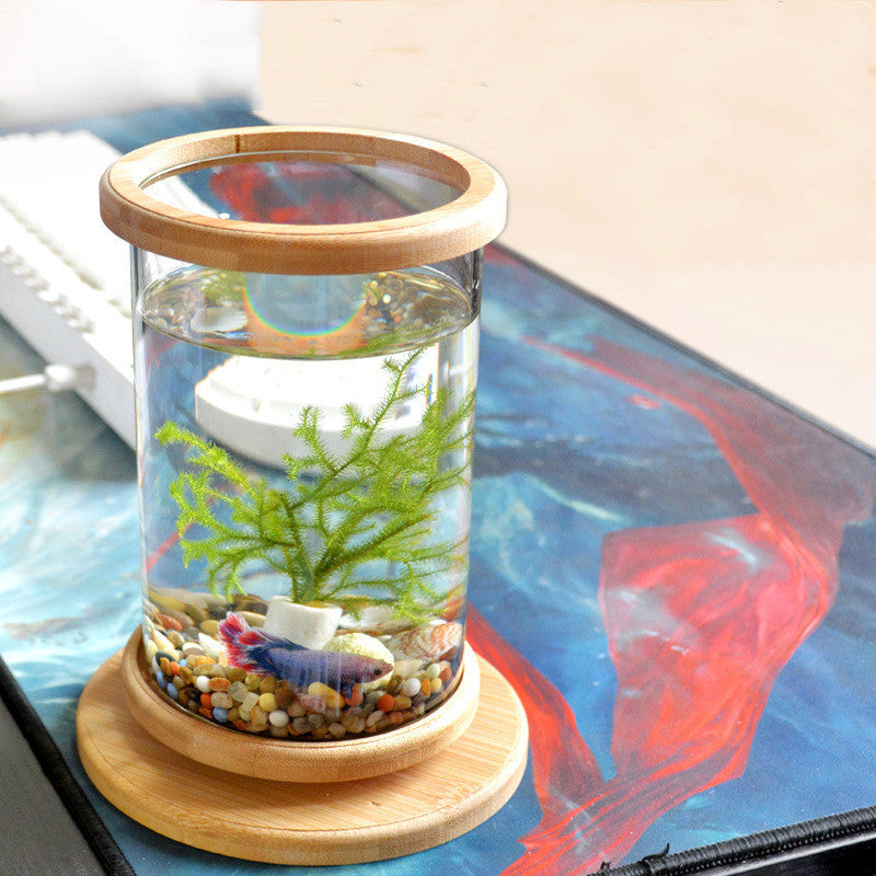 Bamboo Base Mini Fish Tank