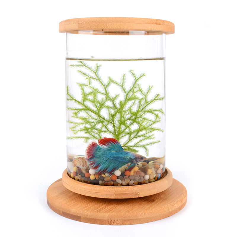 Bamboo Base Mini Fish Tank