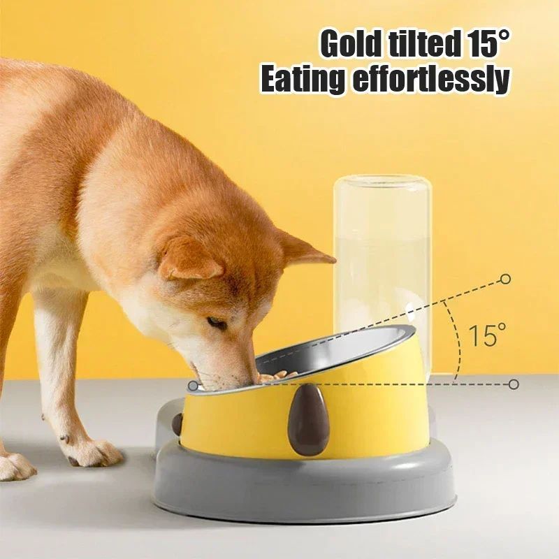Pet Feeder Bowls Pet Feeder