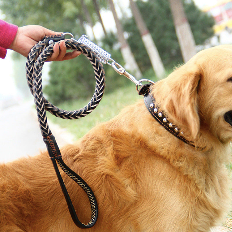 Chain Explosion-proof Punch Collar