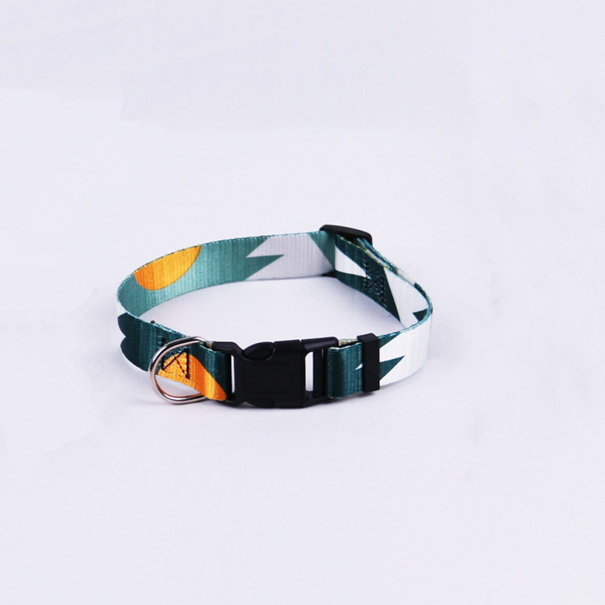 Hand Holding Outing Dog Leash