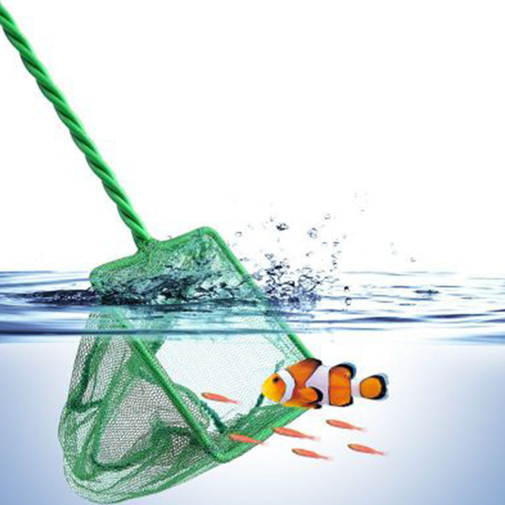 Accessories Fish Tank