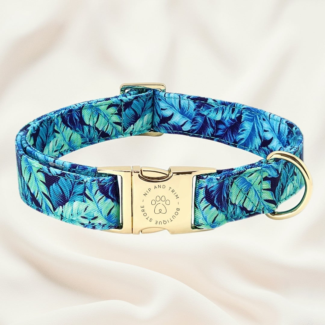 Dog Collar Lettering Identity Card