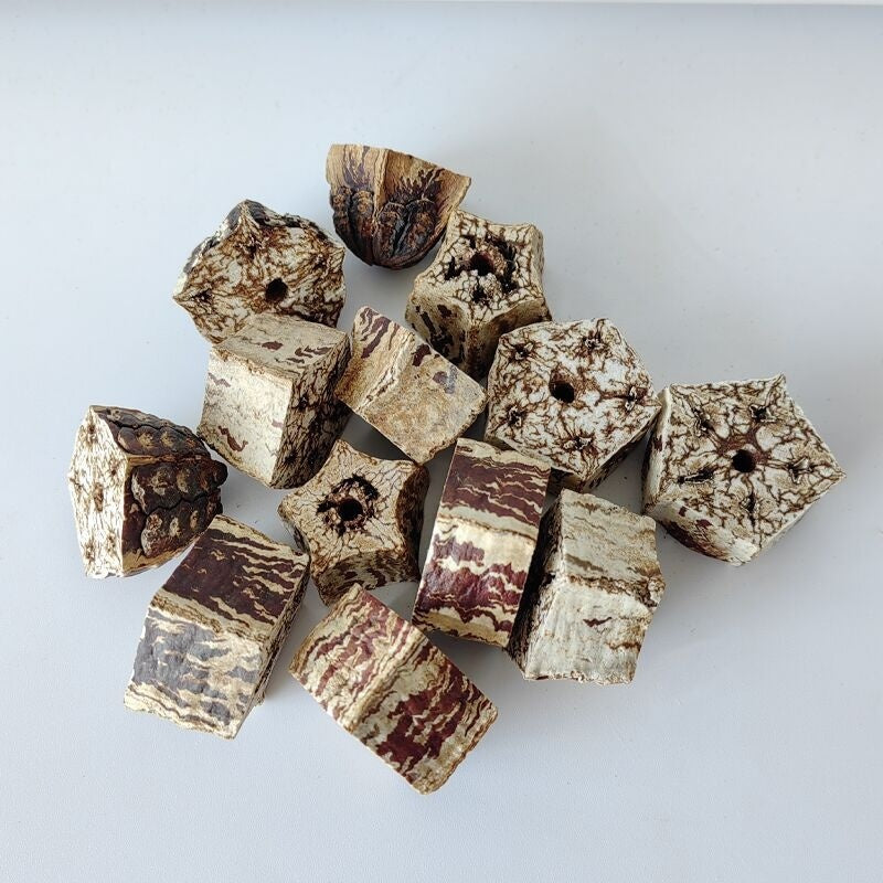 Parrot Toys Parrot Bite Supplies