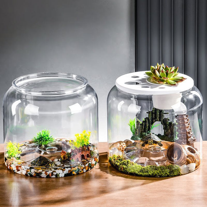 Transparent Plastic Ecological Feeding Fish Tank