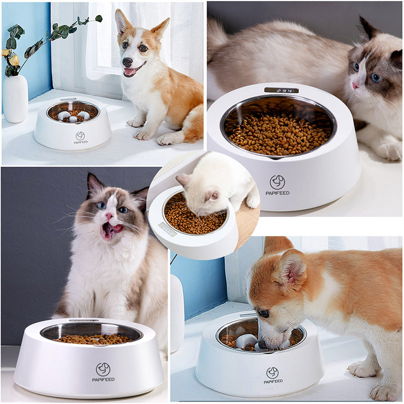 Smart Weighing Dog Slow Feeder