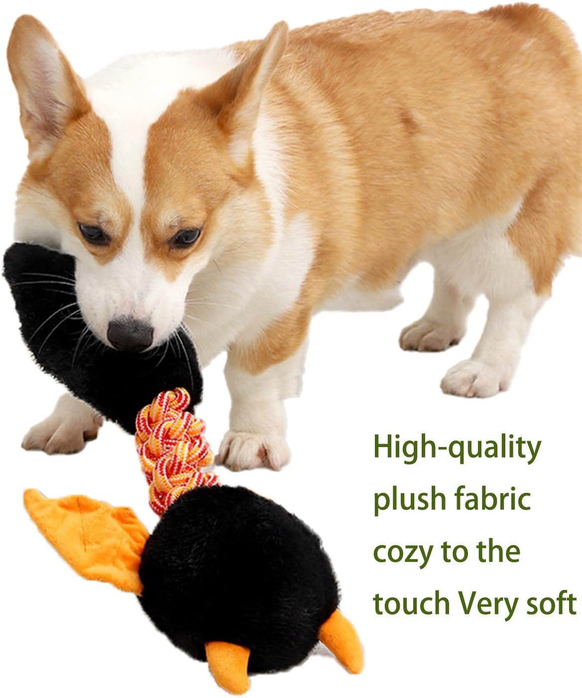 Plush Dog Toys Squeaky Dog Toys