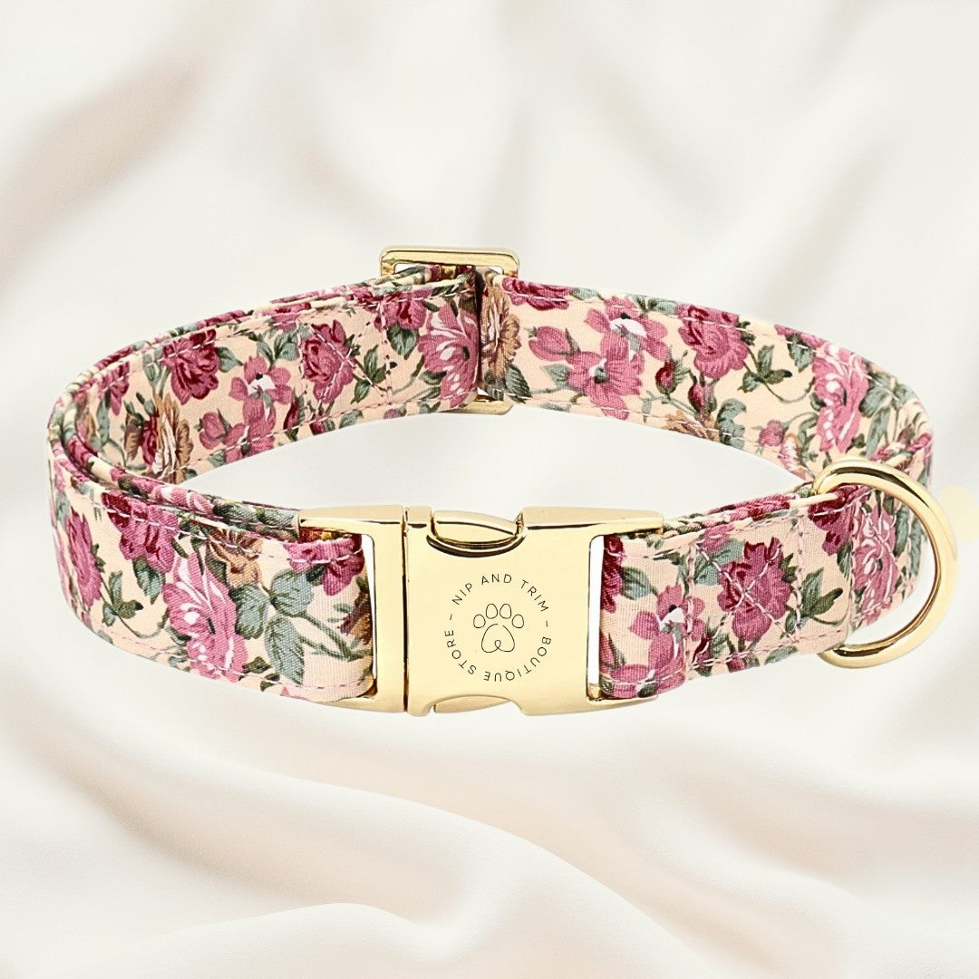 Dog Collar Lettering Identity Card