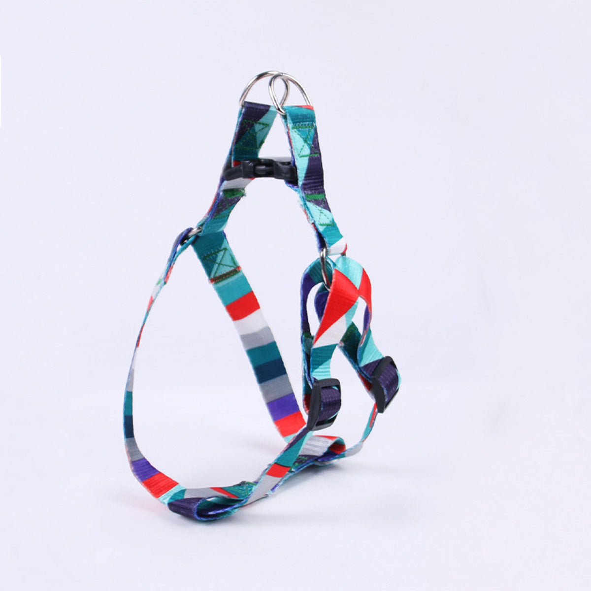 Hand Holding Outing Dog Leash