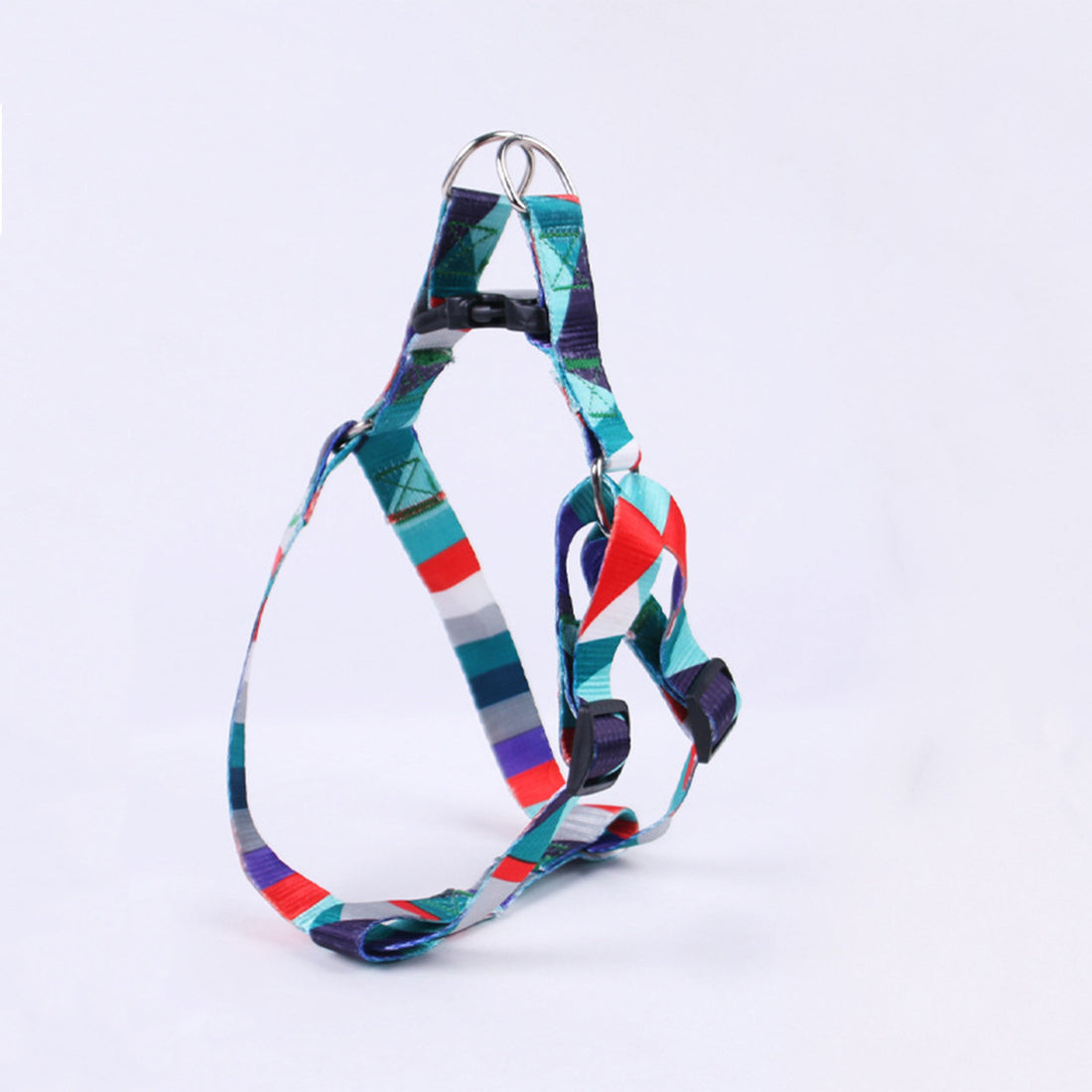 Hand Holding Outing Dog Leash