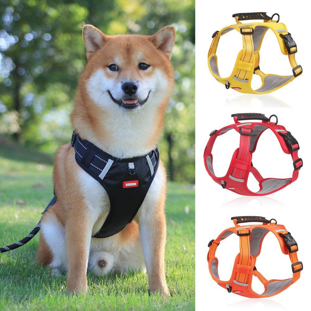 Nylon Harness Dogs Training Accessories