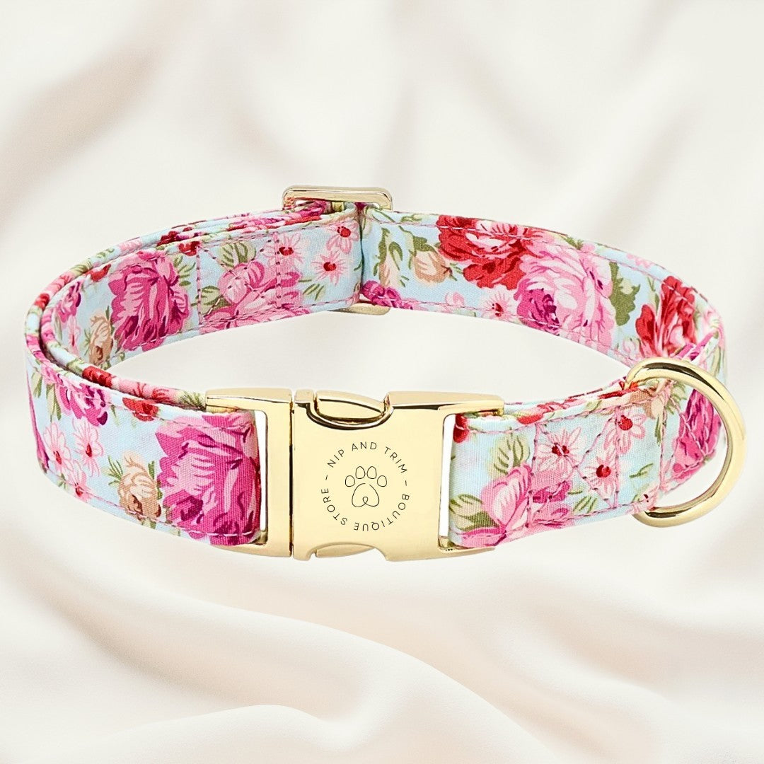 Dog Collar Lettering Identity Card