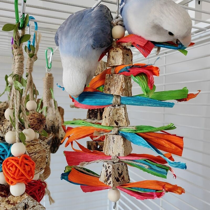 Parrot Toys Parrot Bite Supplies