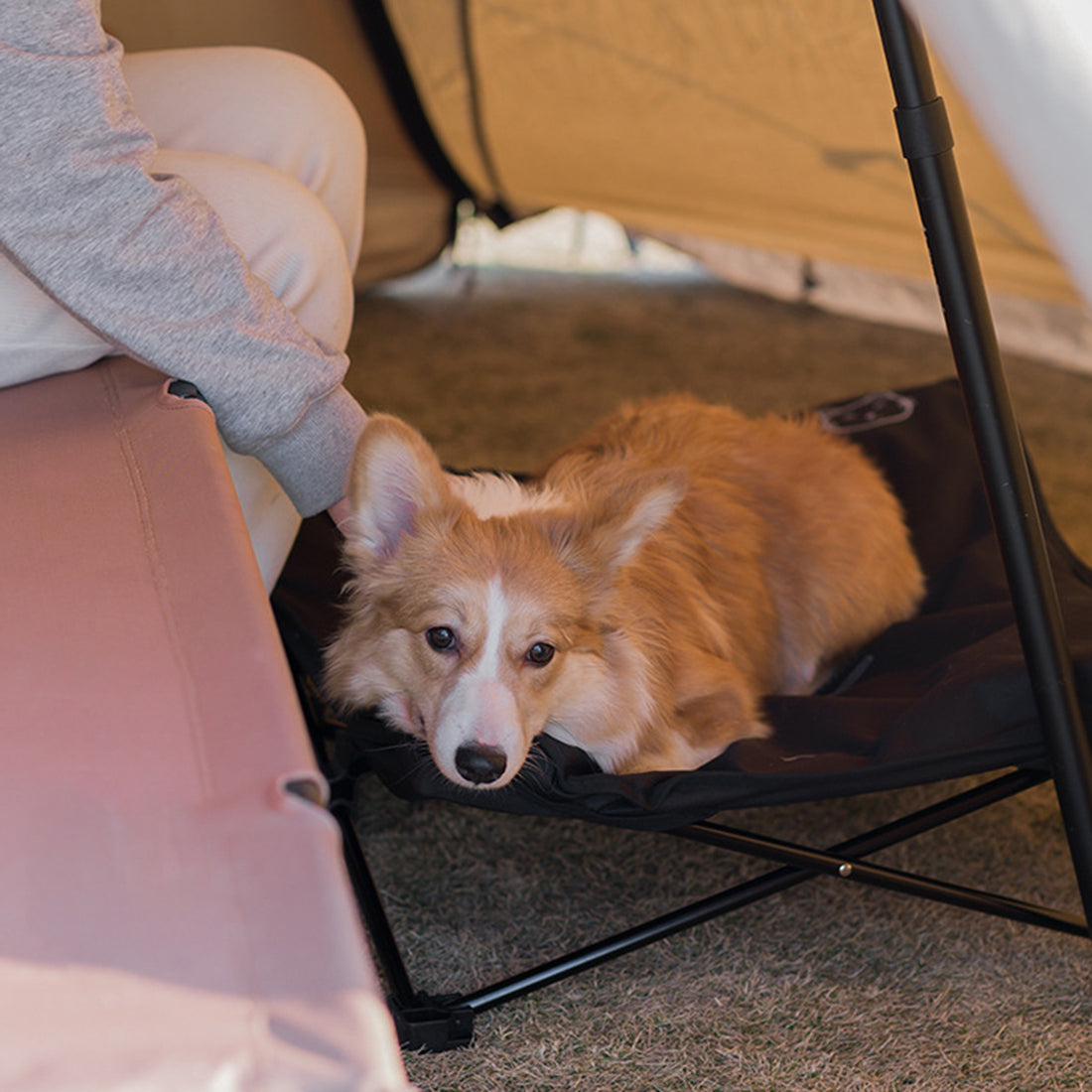 Outdoor washable pet folding bed