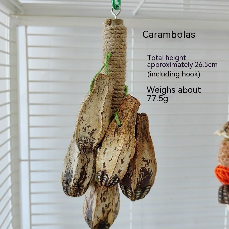 Parrot Toys Parrot Bite Supplies