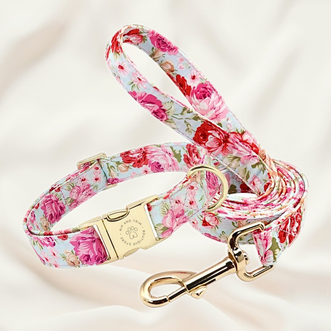 Dog Collar Lettering Identity Card