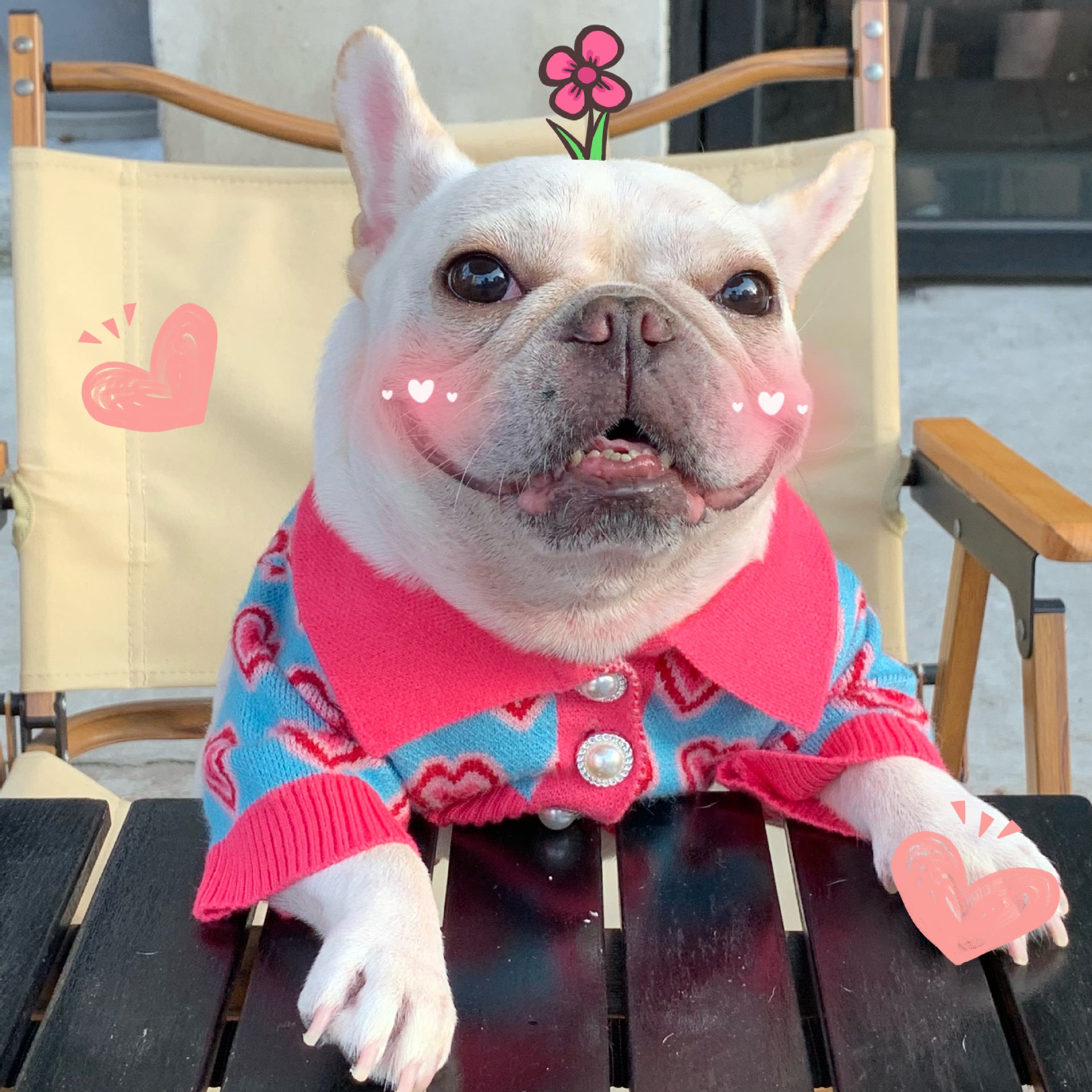 Pet Trendy Dog Sweater Cat French