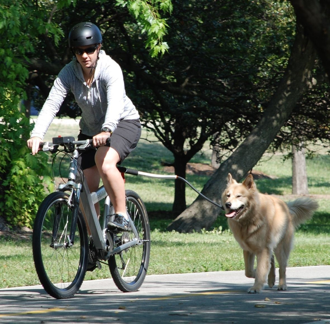 Bicycle Dog Walking Hand Holding Rope Pet