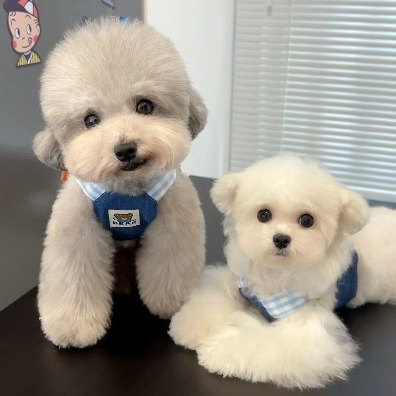 Pet's Chest-back Hand Holding Rope