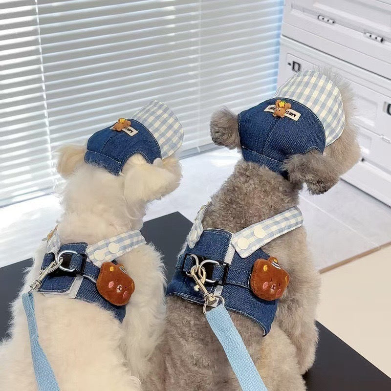 Pet's Chest-back Hand Holding Rope