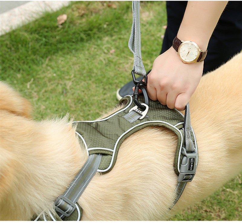 Punch Elastic Retractable Dog Leash