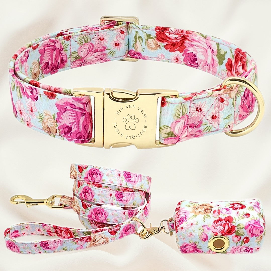 Dog Collar Lettering Identity Card