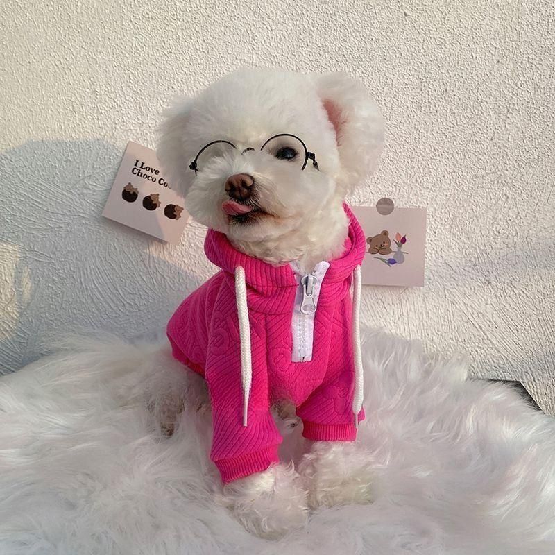 Internet Celebrity Pet Sweater