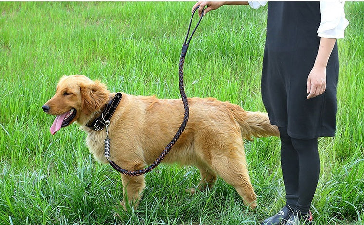 Chain Explosion-proof Punch Collar