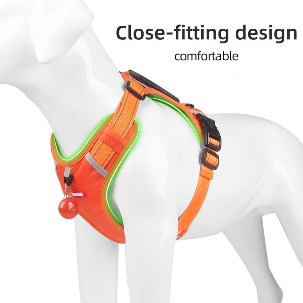 Nylon Harness Dogs Training Accessories