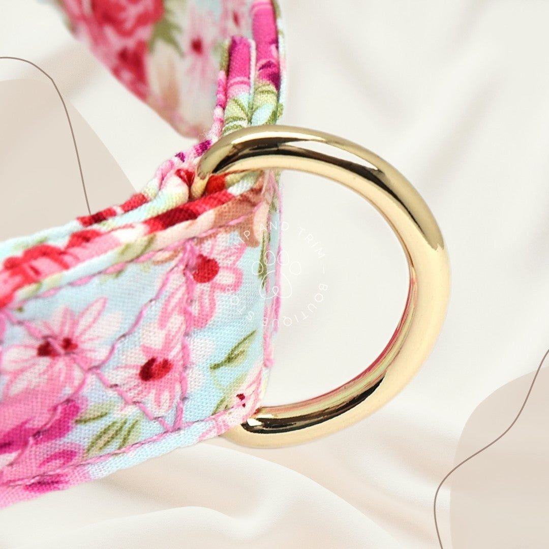 Dog Collar Lettering Identity Card