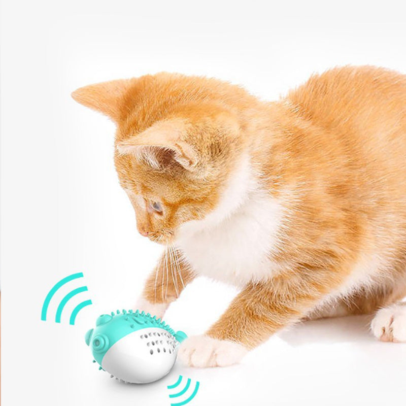 Mint Cat Grabing Toy For Chew