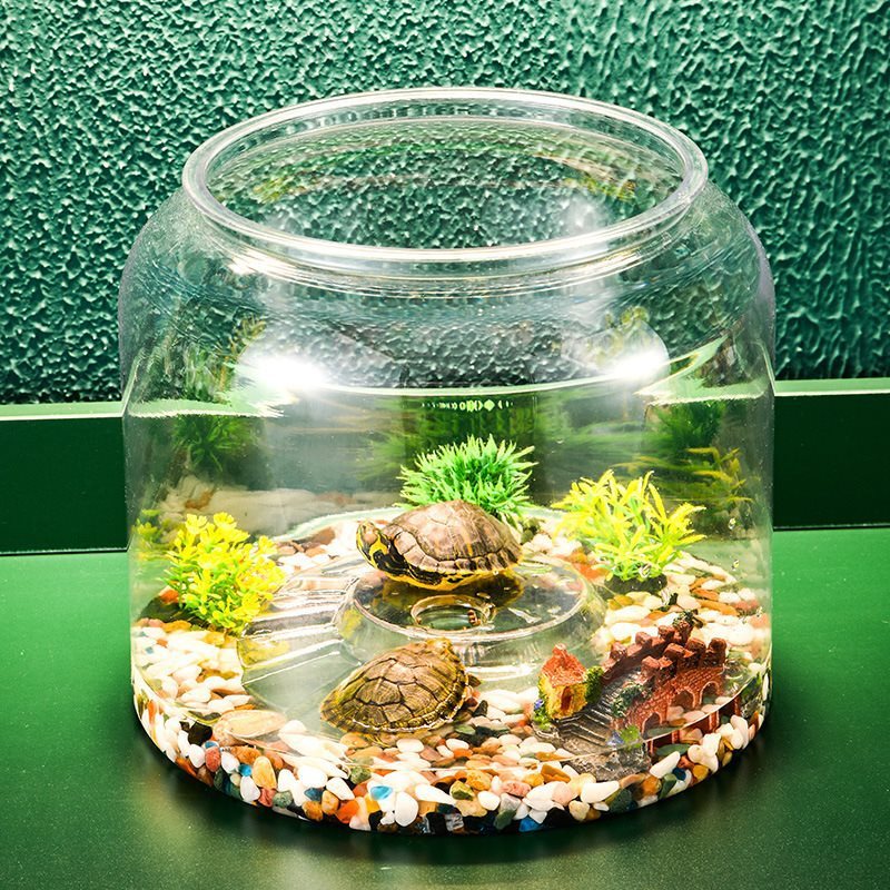 Transparent Plastic Ecological Feeding Fish Tank