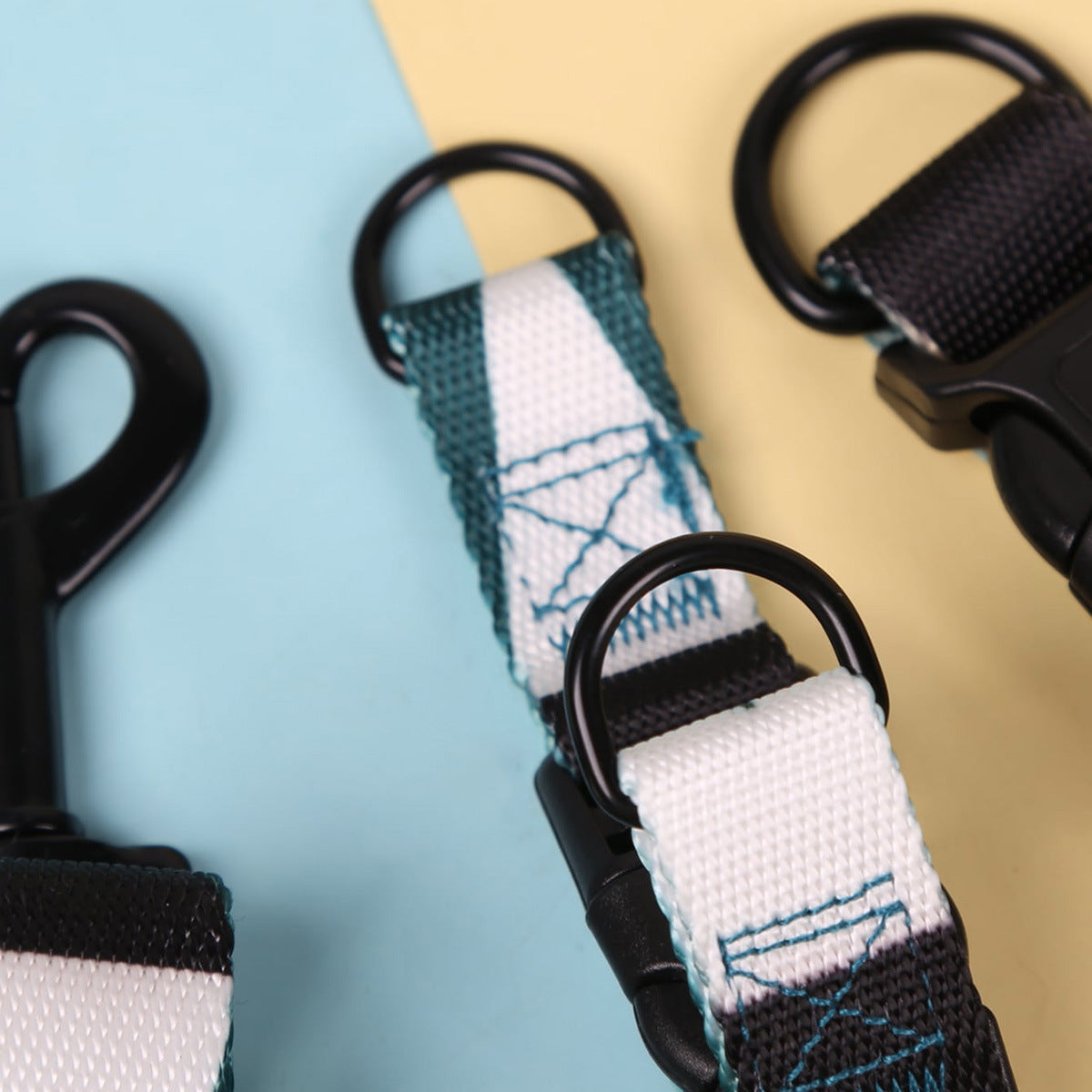 Hand Holding Outing Dog Leash