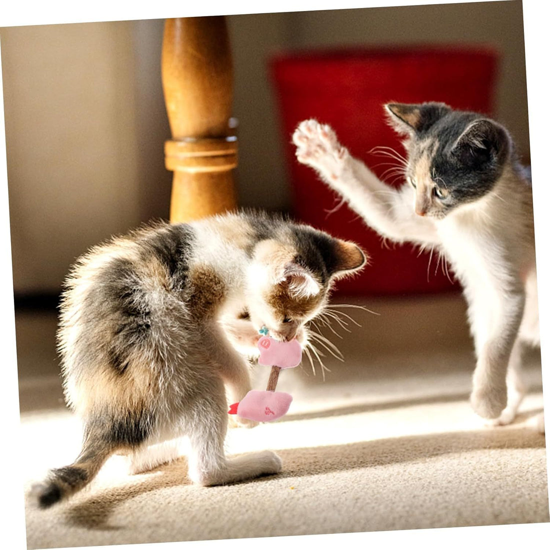 Cat Teeth Cleaning Toys