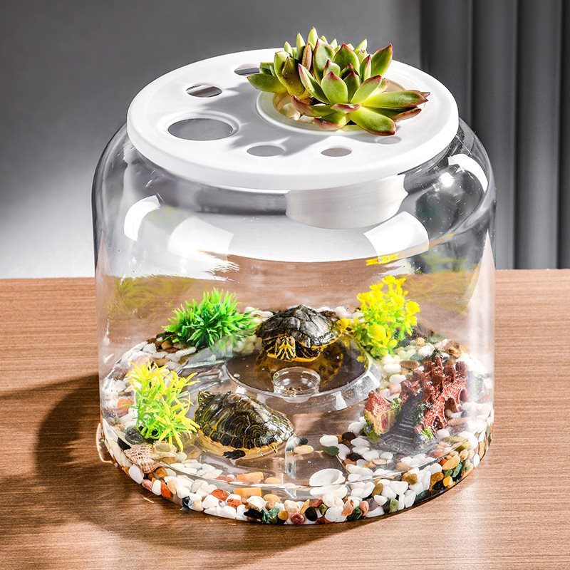 Transparent Plastic Ecological Feeding Fish Tank