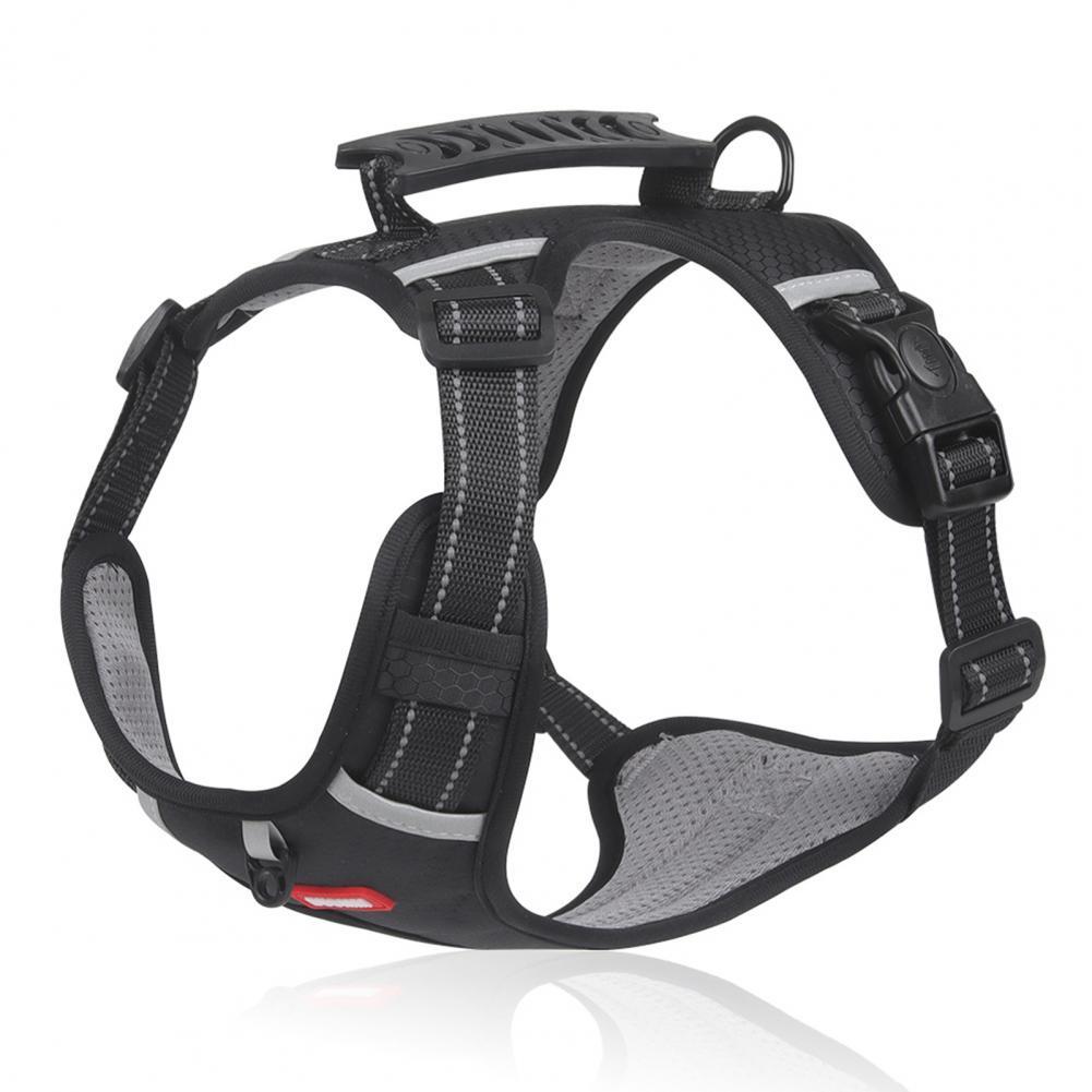Nylon Harness Dogs Training Accessories